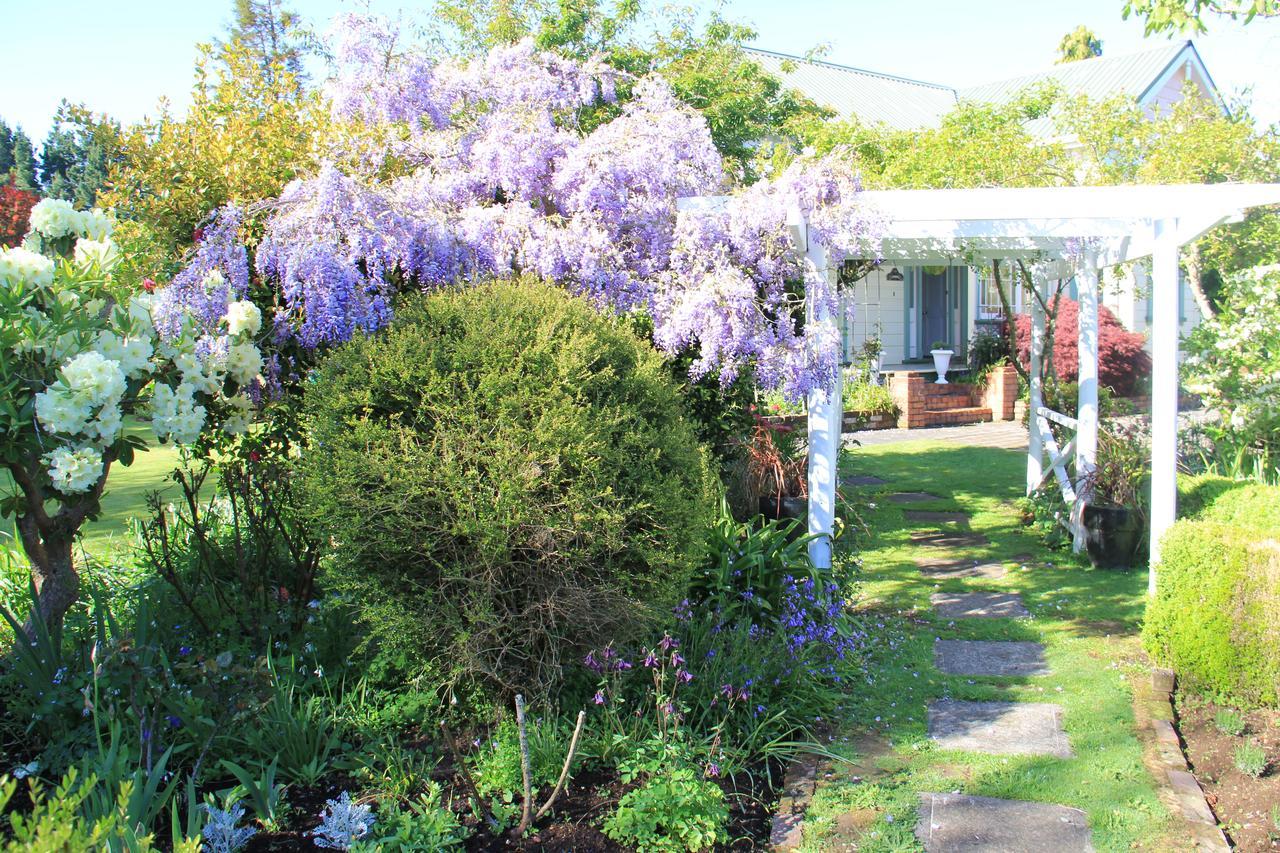 Regan House Bed and Breakfast Stratford Buitenkant foto